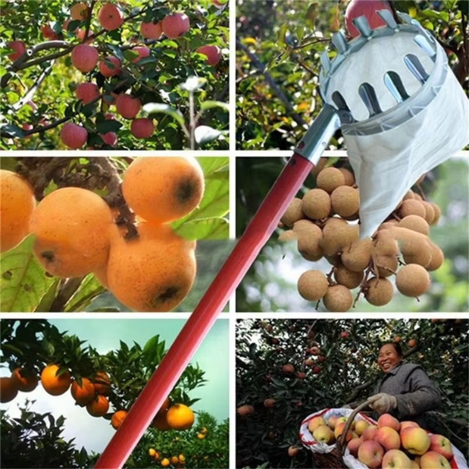 Farming Agriculture Tools - 정원 따기 고도 과일 피커 농업