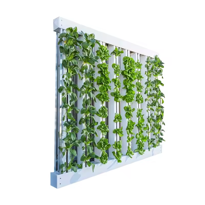 Hydroponic Nft Channel - PVC 파이프 농업용 온실 채소 재배