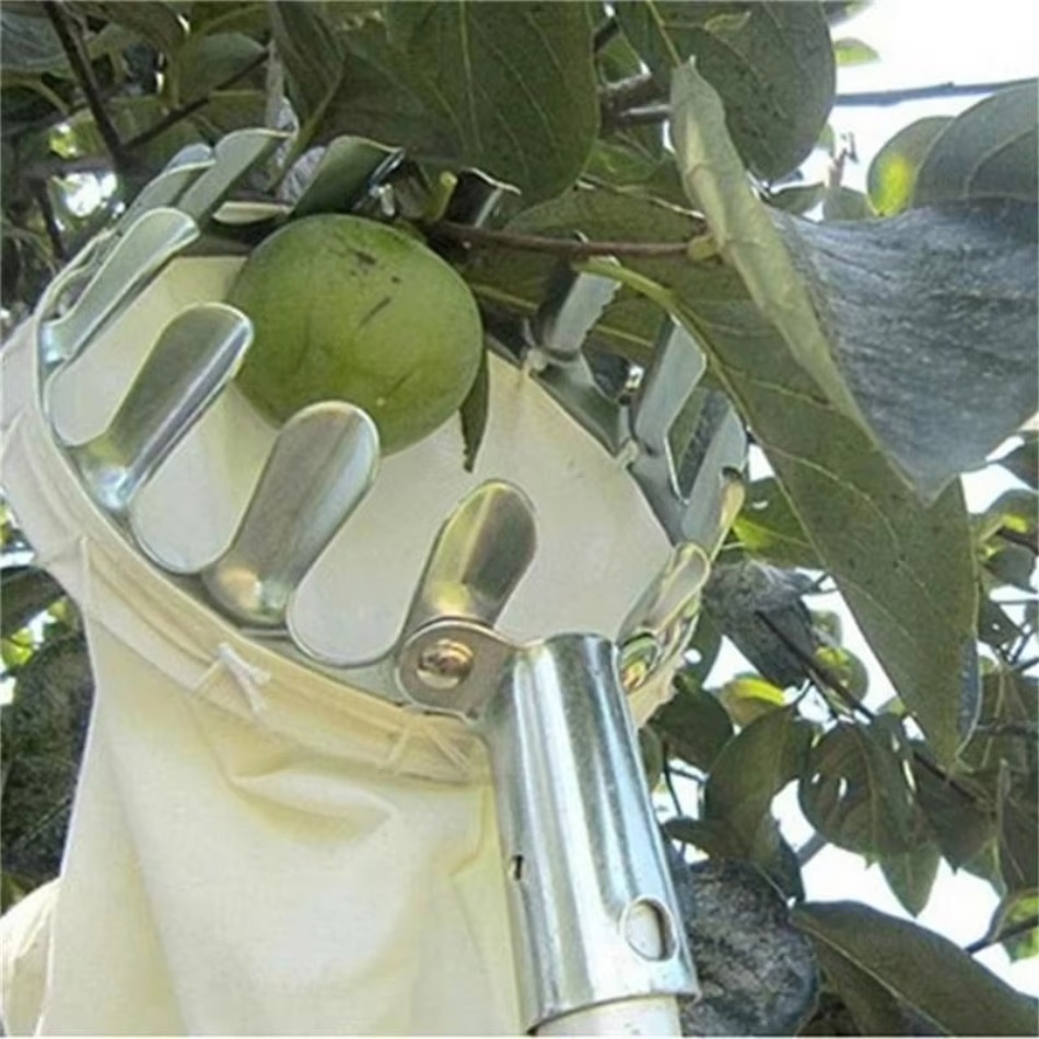 정원 따기 고도 과일 피커 농업 도구 농장 도구에 대한 - Farming Agriculture Tools 리뷰 및 가격