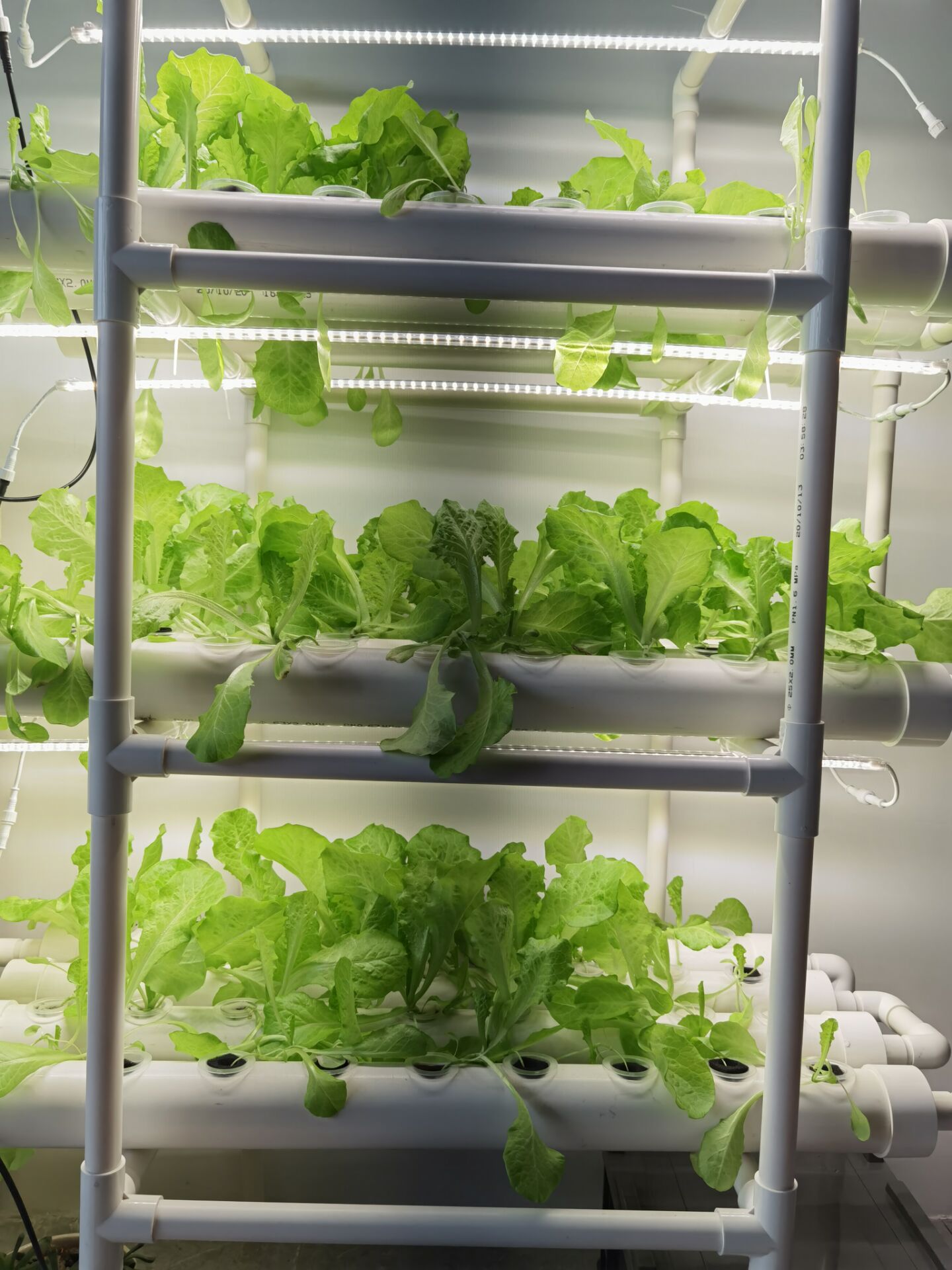 공장 직송 3층 수직 수경 재배 시스템 상업용 NFT  - Hydroponic Nft Channel 리뷰 및 가격