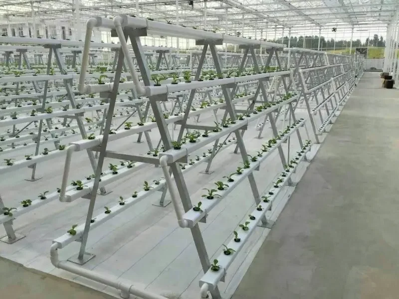 제조 생산 수직 수경 재배 시스템, PVC Nft 채널 - Hydroponic Nft Channel 리뷰 및 가격