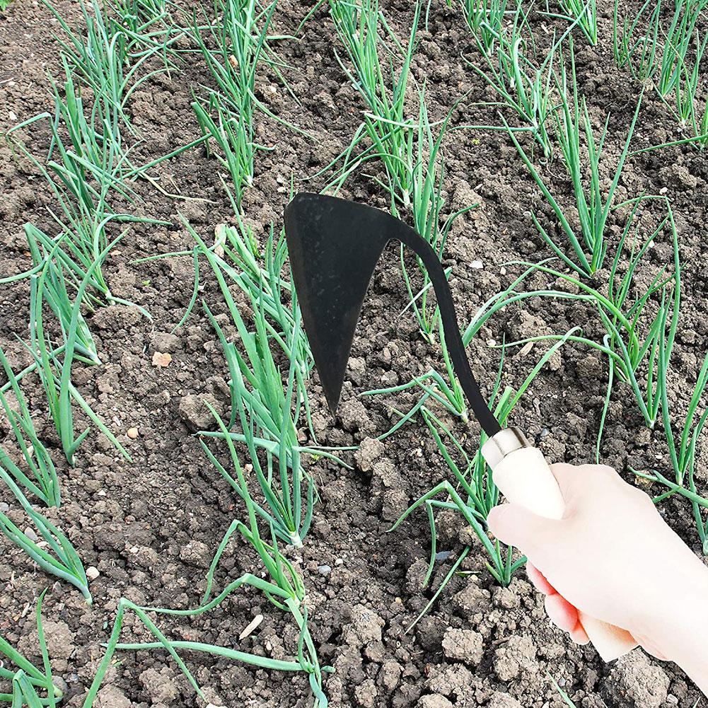 가정용 삼각형 고랑 괭이, 농업 잡초 괭이, 식재 야채 - Farming Agriculture Tools 리뷰 및 가격