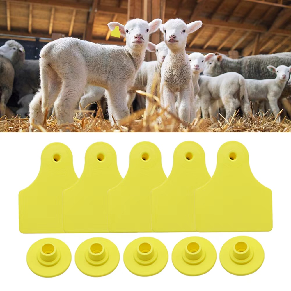20개 40*50mm 염소 양 소 돼지용 빈 귀표, 가 - Livestock Ear Tag 리뷰 및 가격
