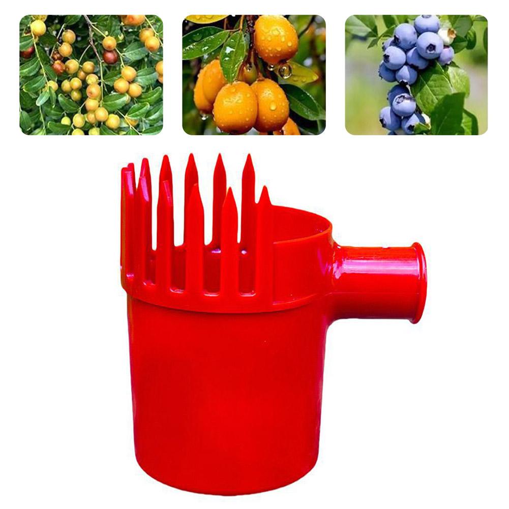 휴대용 과일 수확 도구, 체리 토마토, 블루베리 수확용 - Farming Agriculture Tools 리뷰 및 가격