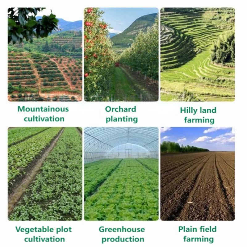손으로 미는 채소 파종기, 다중 줄 정밀 파종기 (당근 - Farming Agriculture Tools 리뷰 및 가격