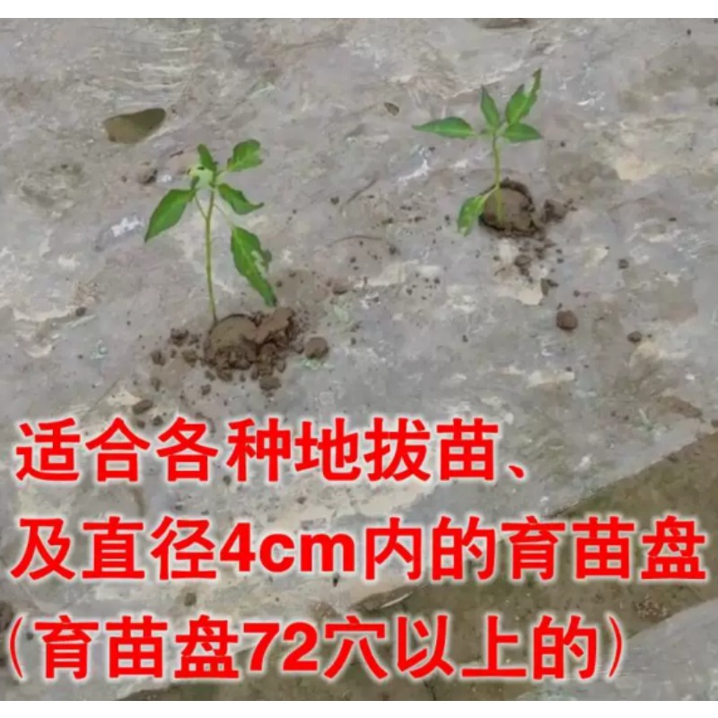 농업용 묘목 이식기 토마토, 피망 묘목 심기용 정원 재 - Farming Agriculture Tools 리뷰 및 가격
