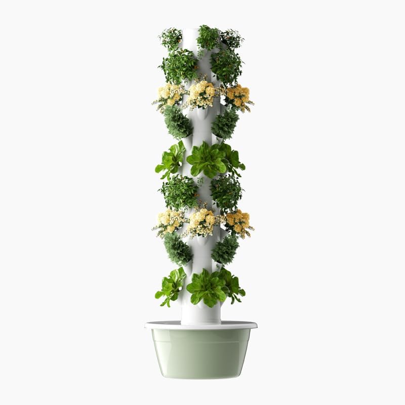 수직 수경 재배 타워 에어로포닉 타워 과일 및 채소용  - Vegetable Transplanter 리뷰 및 가격