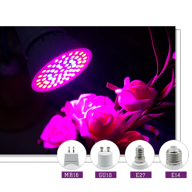 전체 스펙트럼 LED 성장 빛 E27 E14 GU10  - Hydroponic Nft Channel 리뷰 및 가격